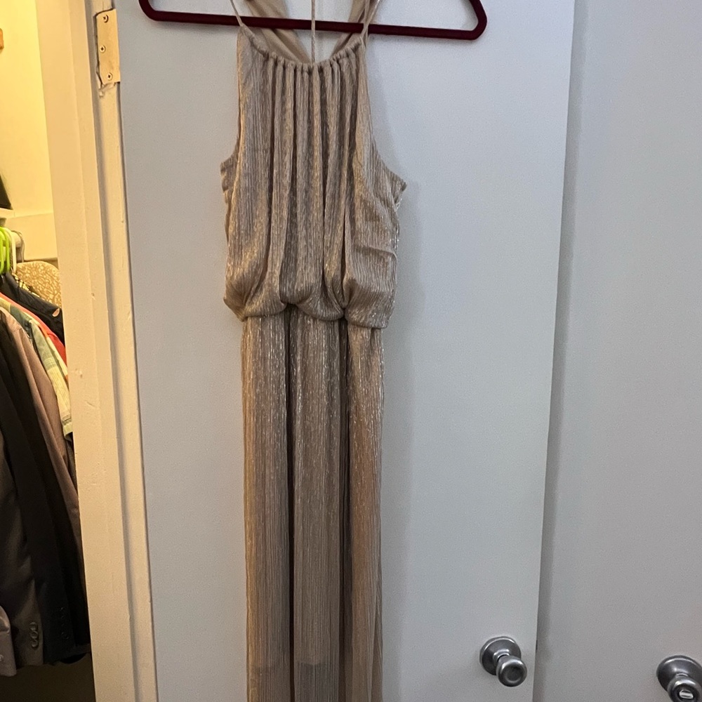 Maxi Shimmery Dress